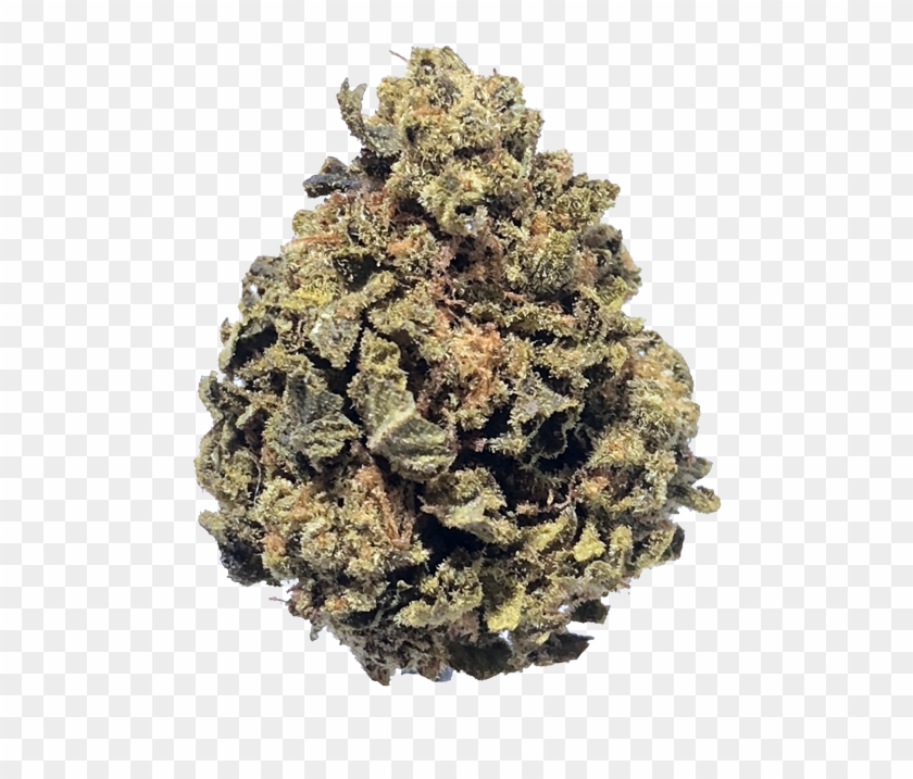 Cherry-pie - Mexican Pinyon Clipart #4129582