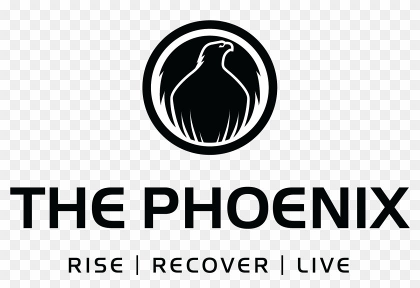 Graphic Design Clipart