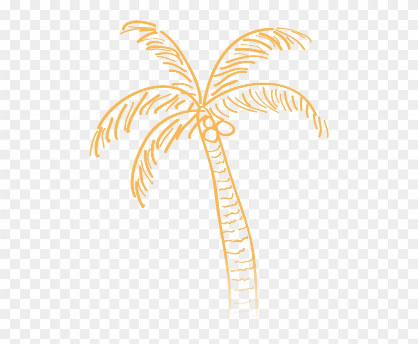 More Information About Central America Central America - Palm Tree Doodle Transparent Clipart