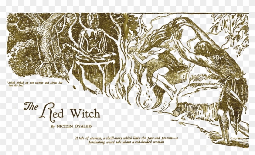 Illustration - Tree Clipart