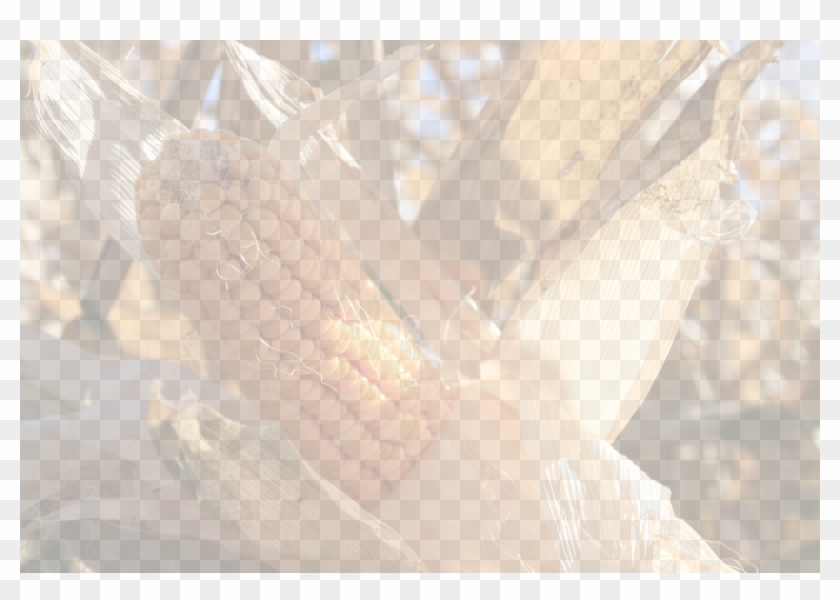 Food - Wood Clipart #4134151