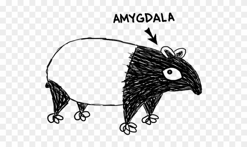 Amygdalatapir - New World Porcupine Clipart #4136658