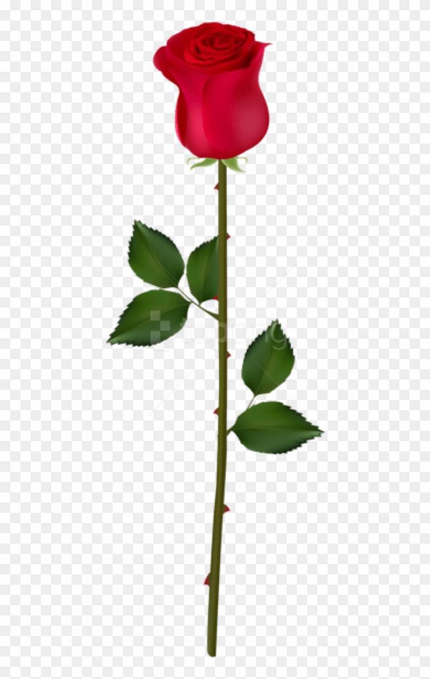 Free Png Red Rose Bud Png Images Transparent - Portable Network Graphics Clipart
