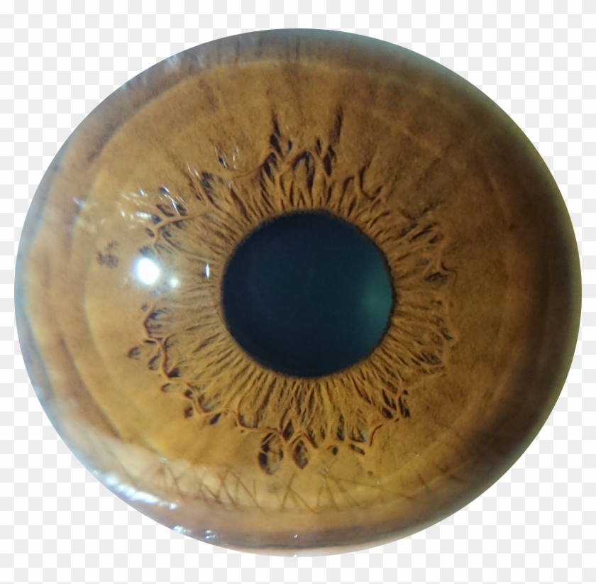 Macro Shot Of My Eye Taken With My Phone Clipart