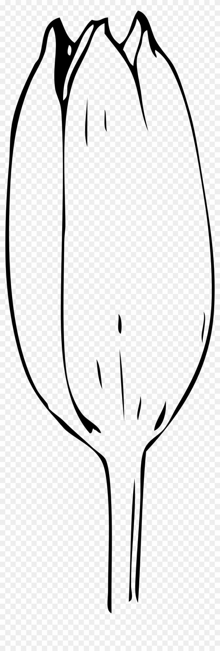 This Free Icons Png Design Of Tulip Bud - Bud Black And White Clipart