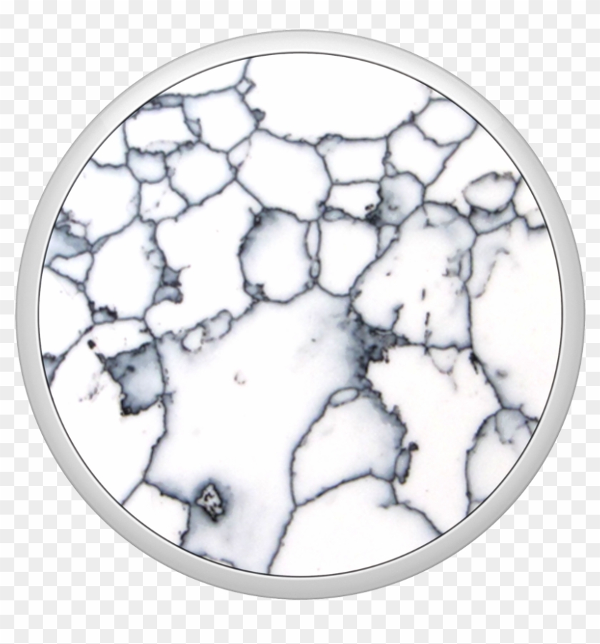 Circle Clipart #4138309