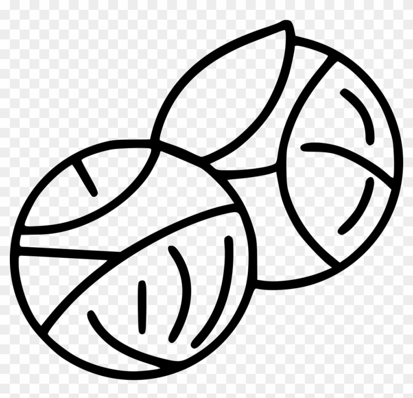 Brussels Sprouts Sprouts Comments - Ablution Png Clipart