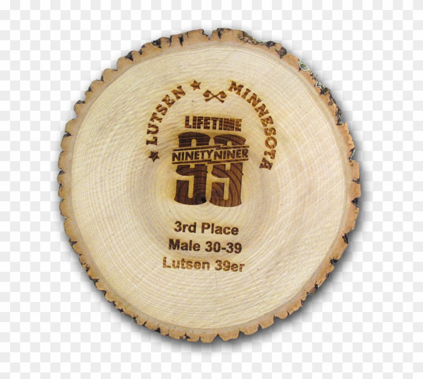 Lifetime Swim Clipart