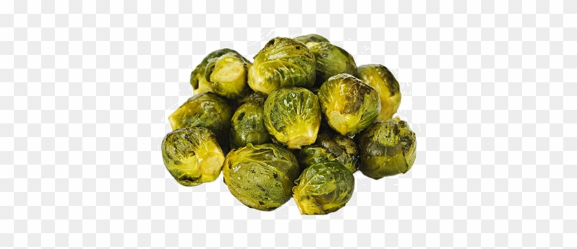 Brussels Sprout Clipart