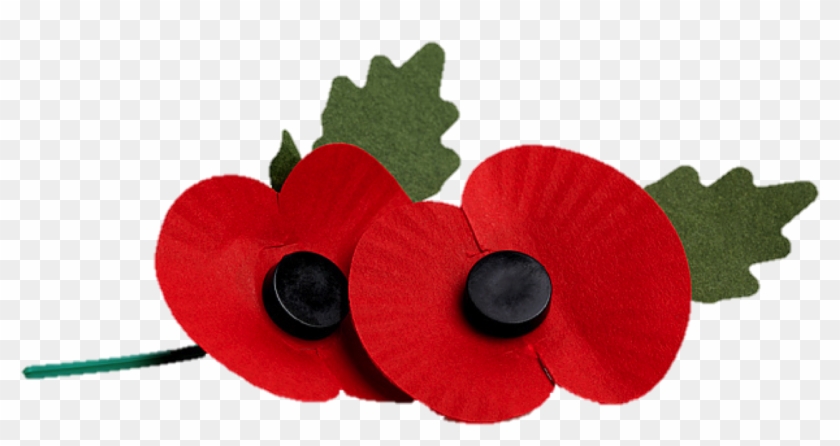 Poppy Appeal Png - Clip Art Rememberance Poppy Transparent Png #4139748