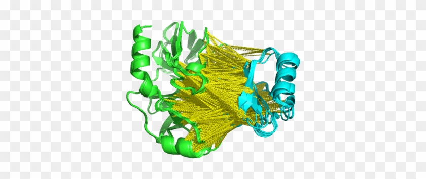 We Can See That The Ca-ca Distance Restraints Are Mostly - Graphic Design Clipart