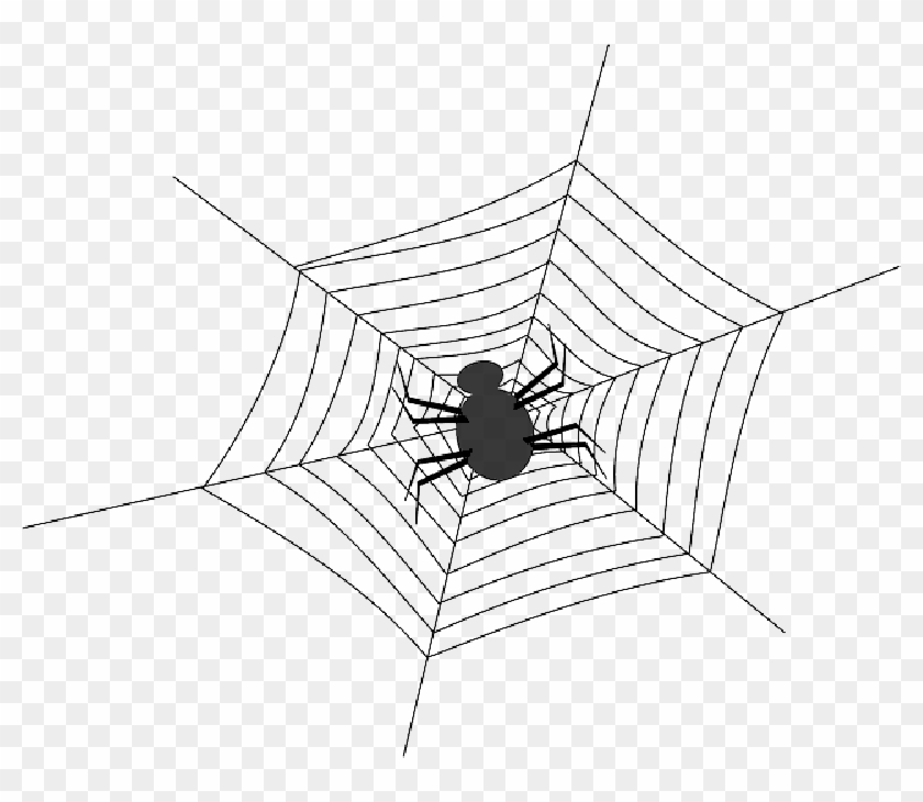 Spider Net Clipart Black And White , Png - Black And White Clipart Spider Transparent Png #4151013