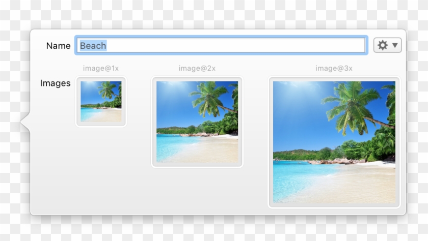 A Single Image In Library Can Hold Up To 3 Image Files - Beach Clipart