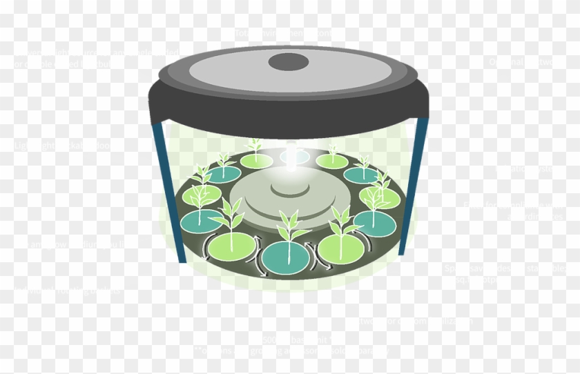 Anatomy-v2 - Drums Clipart #4156831