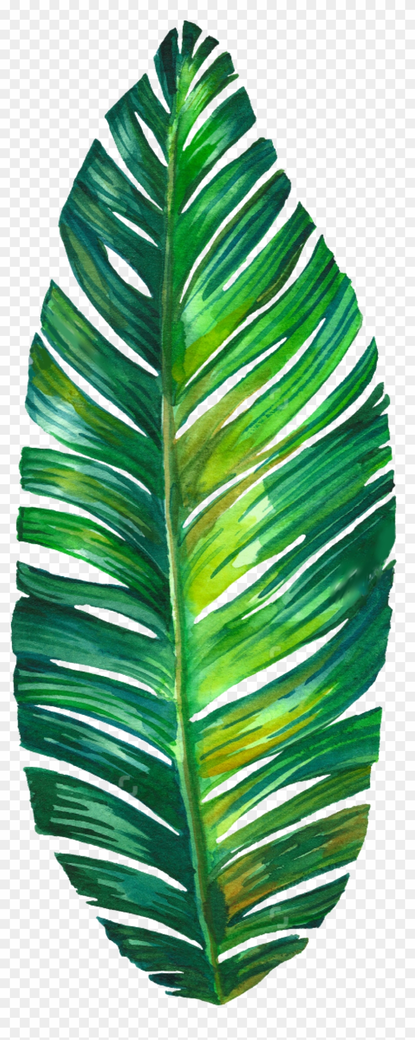 Palm Leaf Watercolor Png Clipart #4157324