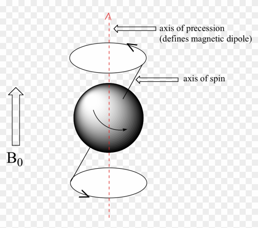 Image004 - Spin De Un Proton Clipart