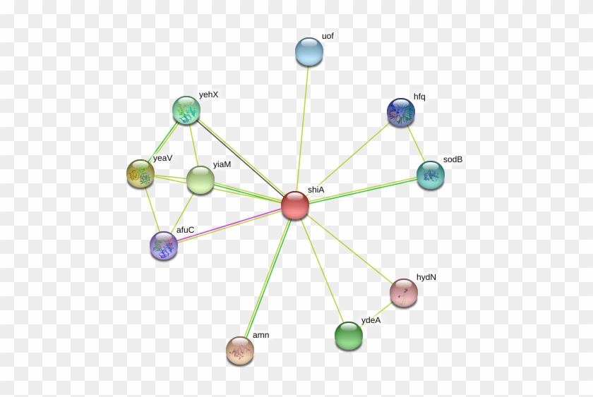 Circle Clipart #4157851