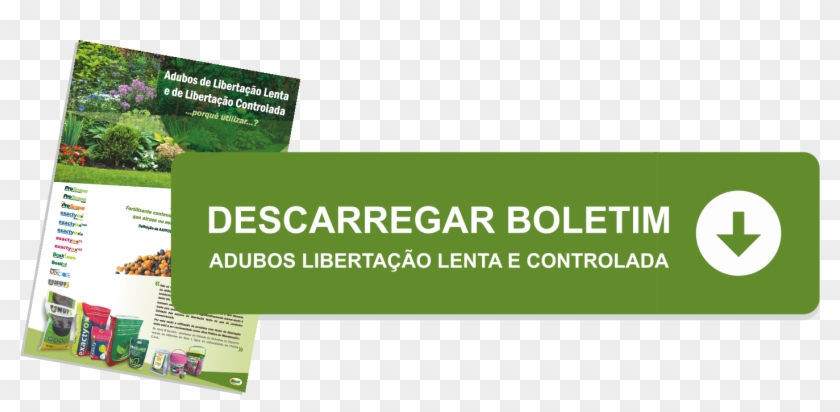 But01 - Flyer Clipart #4158378