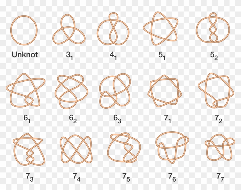 By Gluing Together The Ends Of The Ropes In The Following - 3 Crossing Knot Clipart #4159700