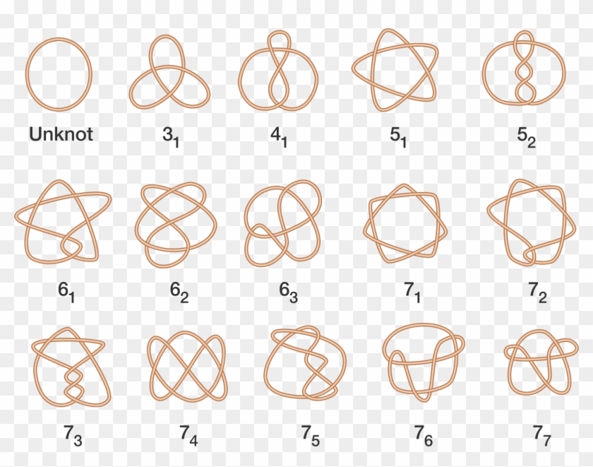 By Gluing Together The Ends Of The Ropes In The Following - 3 Crossing Knot Clipart
