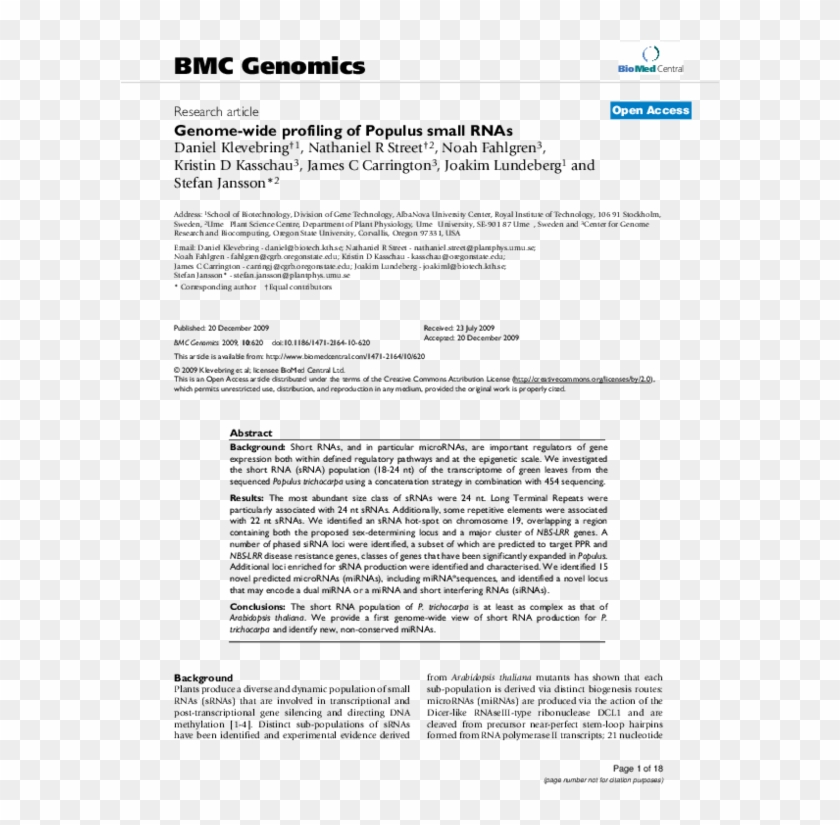 Pdf - Example Of Ppas For Senior Citizens And Persons With Clipart