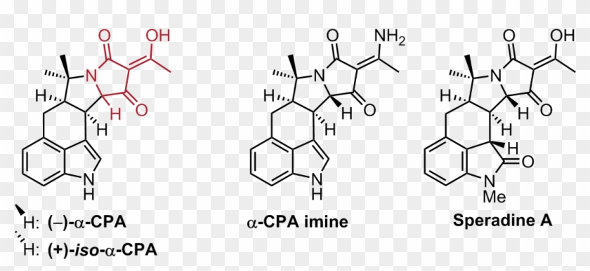 Cyclopiazonic Acids Were Isolated In 1968 By Holzapfel - Draw A Stepwise Mechanism For The Following Reaction Clipart