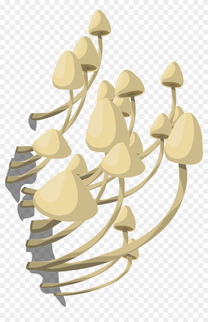 Mushrooms White Fungus Fungi Png Image - Fungo Png Clipart #4160924