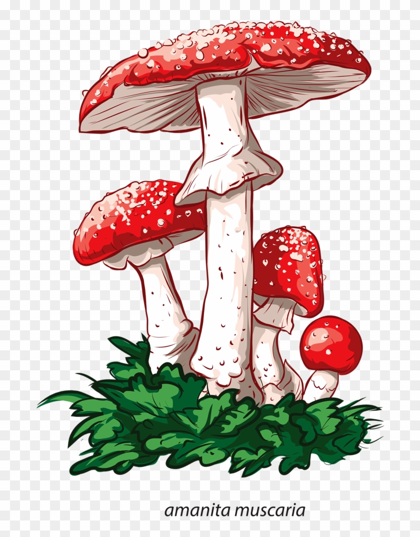 Fungus Drawing Tattoo - Funghi Velenosi Immagini E Nomi Clipart #4161796
