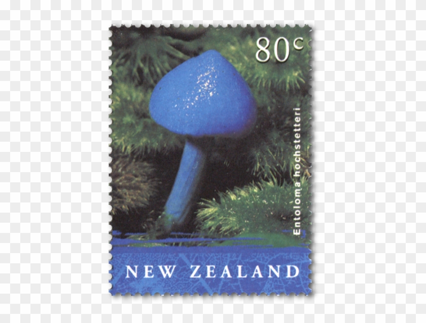 Single Stamp - Werewere-kokako Clipart #4162059