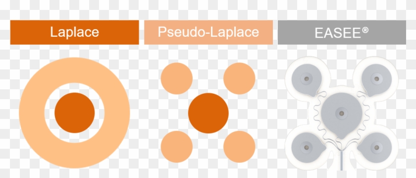 The Easee® Electrode In Detail - Circle Clipart #4162564