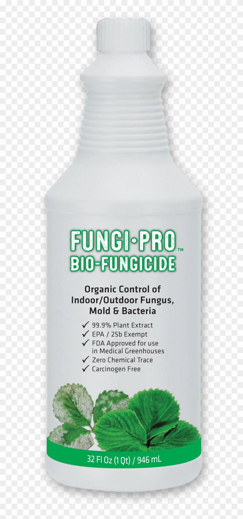 Categories - Hair Care Clipart #4162834