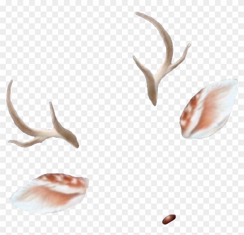 #snapchat #deer #filter - Snapchat Deer Filter Transparent Clipart