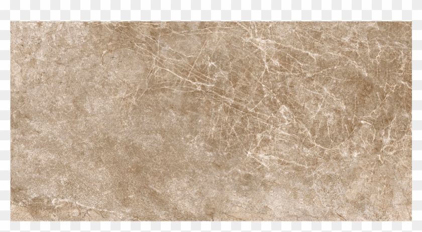 Champagne - Floor Clipart #4167285