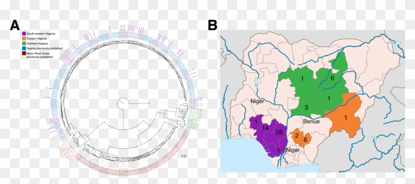 Fig1 Sseg 5909×2739 - Atlas Clipart