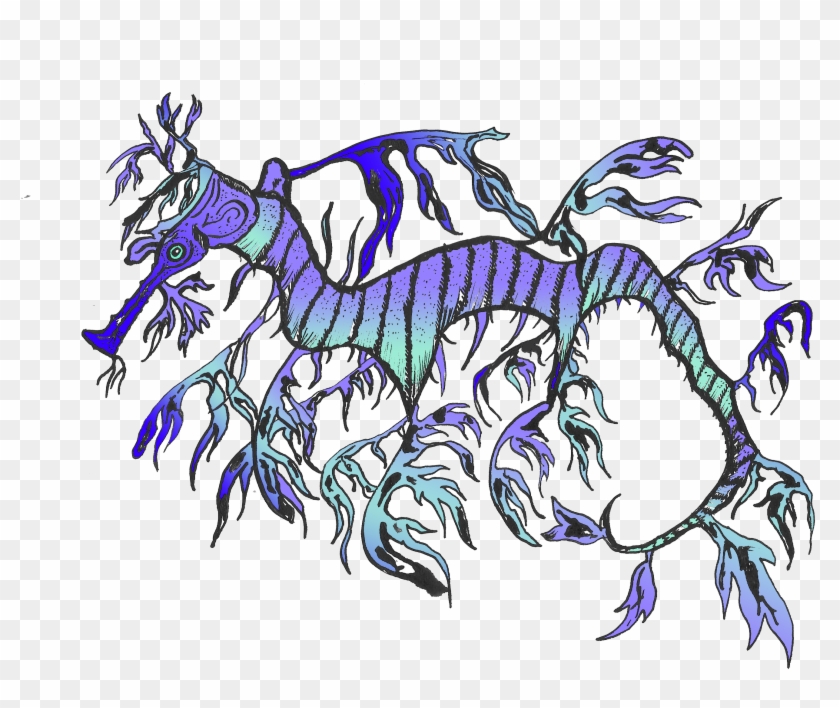 Sea Dragon Drawing - Illustration Clipart
