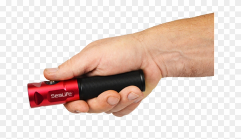 Sports Equipment Clipart #4170037