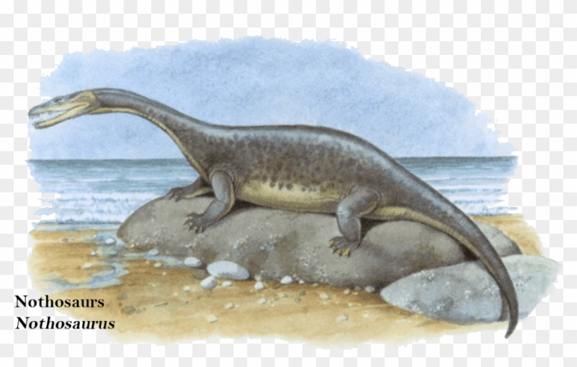 Sea Dragons - Lizard Clipart