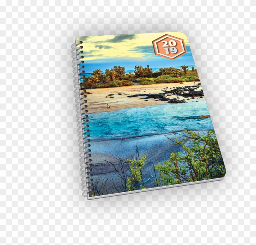 Spiral-bound Planner With Beach And Foliage Cover - Painting Clipart #4170093