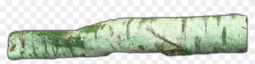837k Branch07 Kpl - White Walnut Clipart #4170850