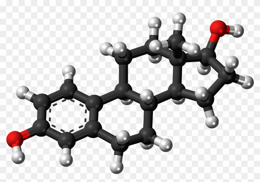 Estradiol - Estradiol Model Clipart
