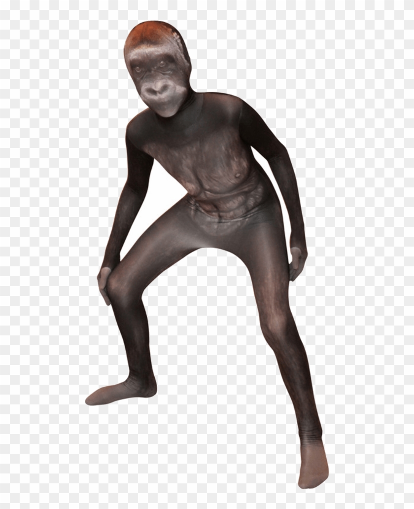 Silverback Gorilla Morphsuit - Gorilla Full Body Clipart #4172920
