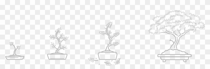 Evolution Of The Design Is Inevitable, And Allows Us - Bonsai Clipart #4173526