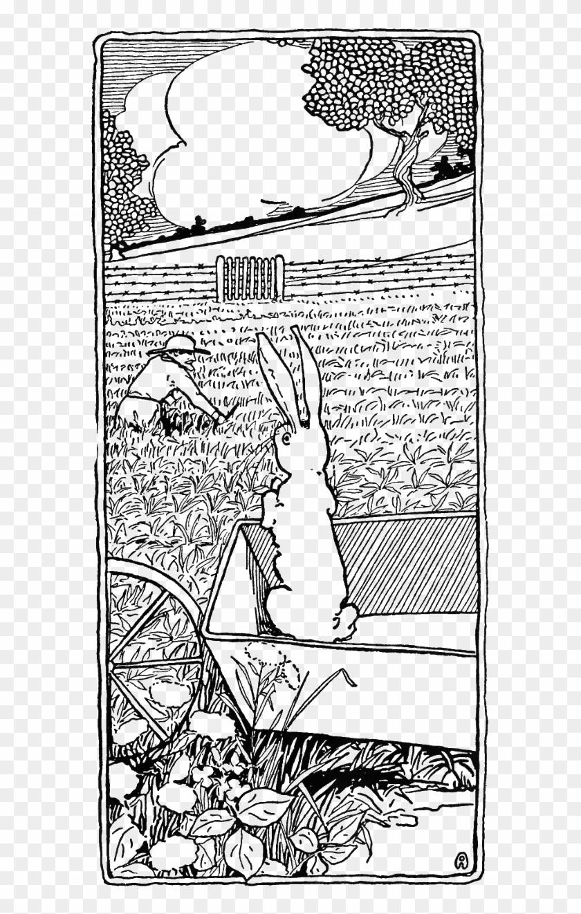 Peter Rabbit Albert 51 - Cartoon Clipart #4173530