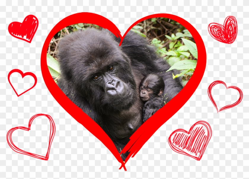 ٧ ردود ٧١ إعادات تغريد ٣٤٦ إعجاب - Hatch Design Clipart #4173654