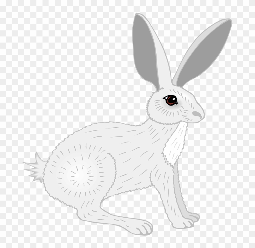 Jack Rabbit Clipart Arnab - Domestic Rabbit - Png Download