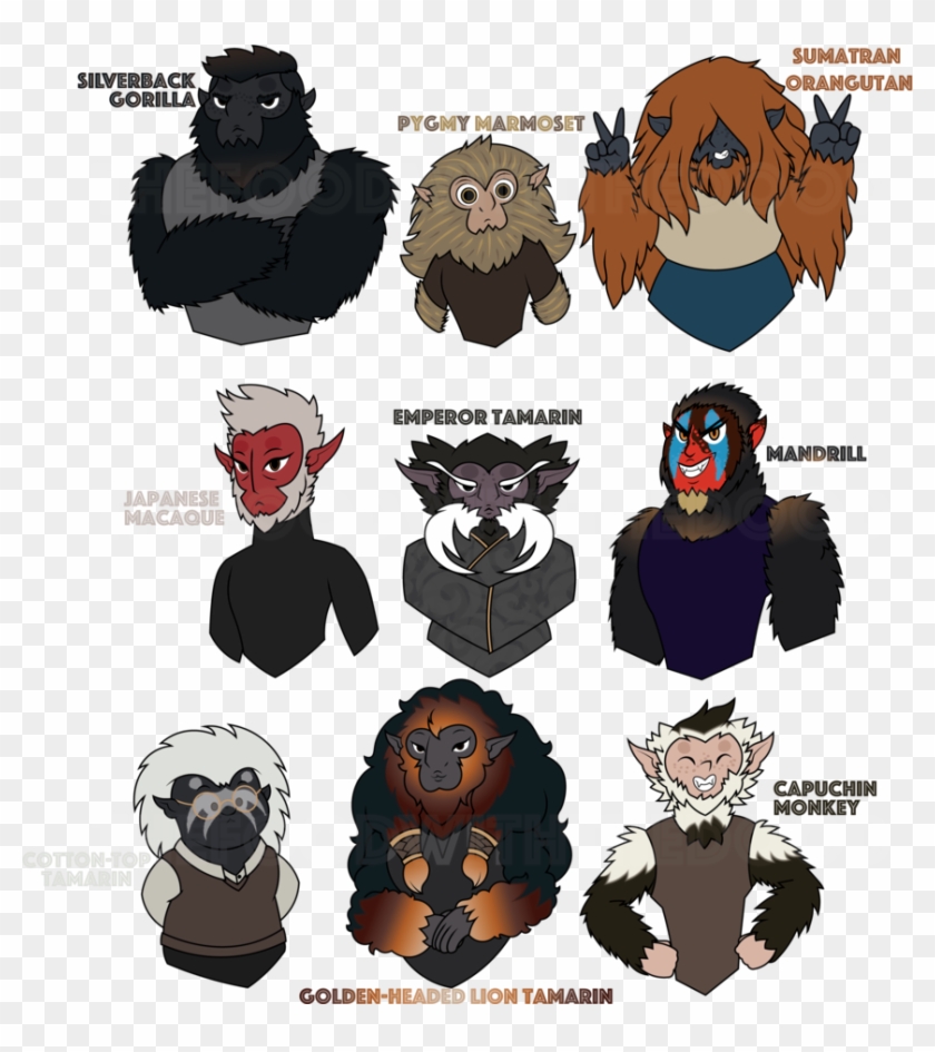 Gorilla Clipart Silverback - Pygmy Marmoset Clipart - Png Download #4173885