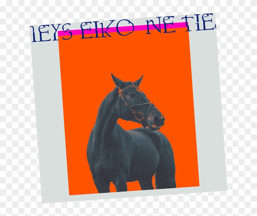 Html5 Icon - Stallion Clipart