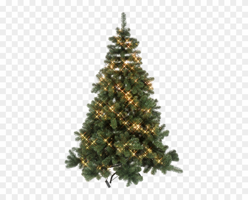 Spruce Christmas Tree Clipart #4178115
