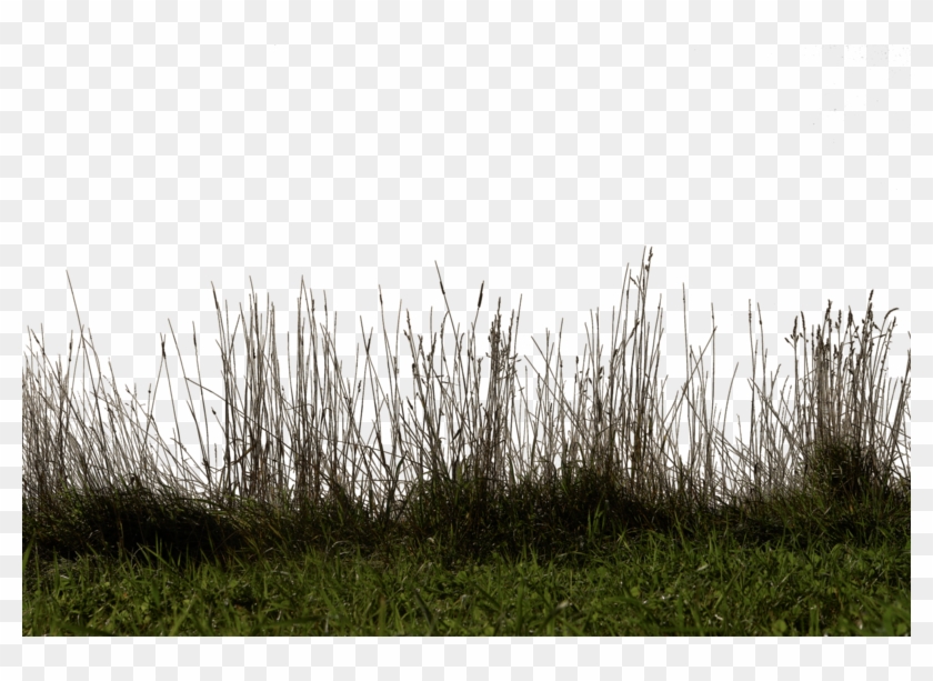 Por Ultimo Inserte El Pasto A El Frente Para Darle - Table Png By Sr Editing Zone Clipart