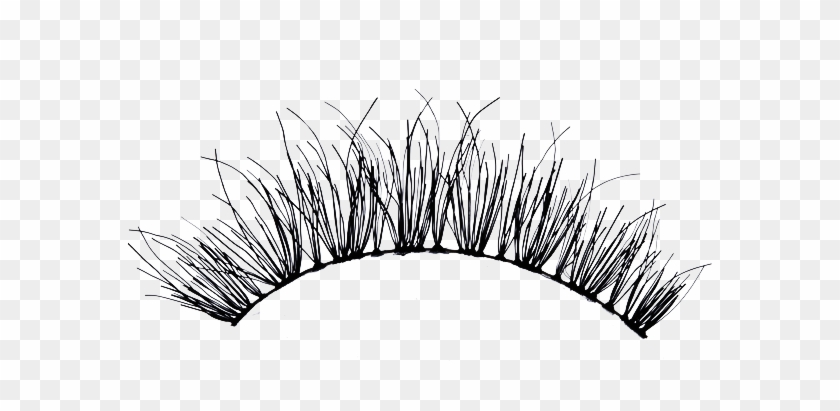 Eyelash Png Clipart
